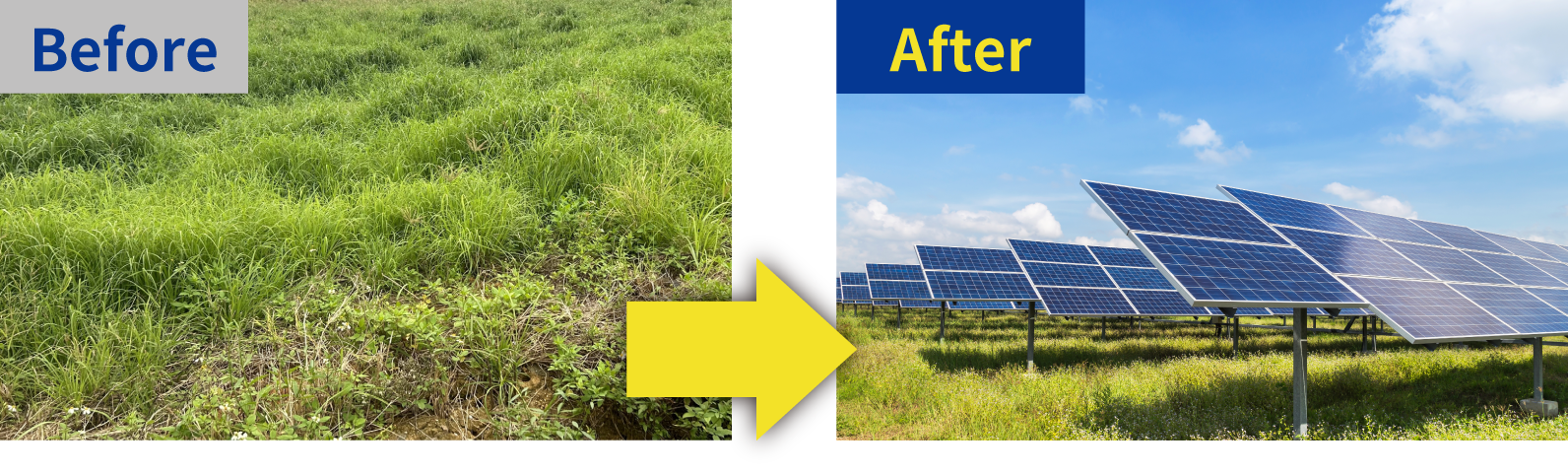 Before After